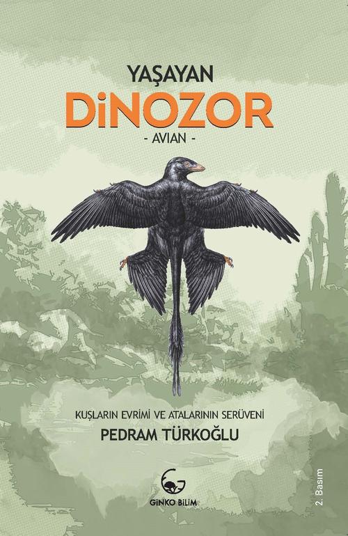 Yaşayan Dinozor Avian Kuşların Evrimi ve Atalarının Serüveni