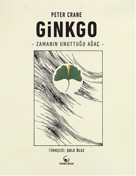 Ginkgo Zamanın Unuttuğu Ağaç