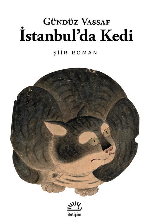 İstabul'da Kedi Şiir Roman