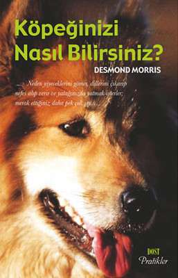 Köpeğinizi Nasıl Bilirsiniz