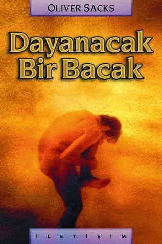 Dayanacak Bir Bacak