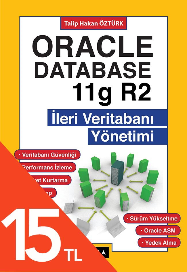 Oracle Database 11G R2